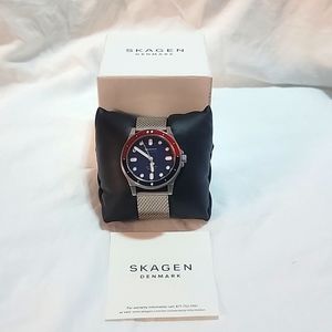 Skagen Denmark Men's Silver watch